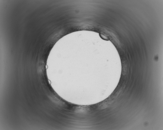 X0000116550077201001211210