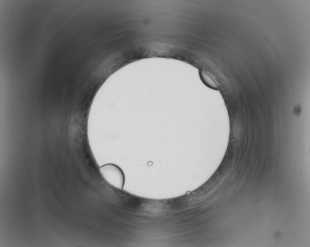 X0000116550079201001211210