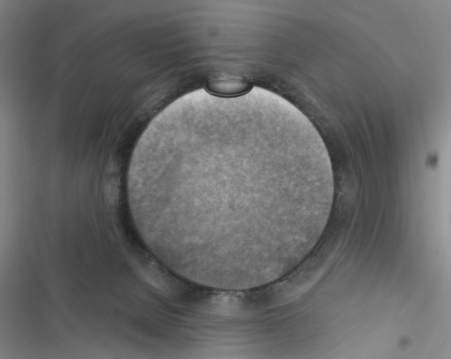 X0000116550080201001211210