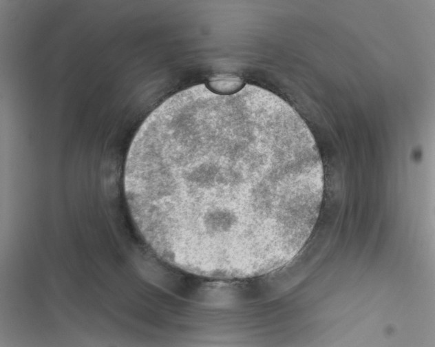 X0000116550082201001211210