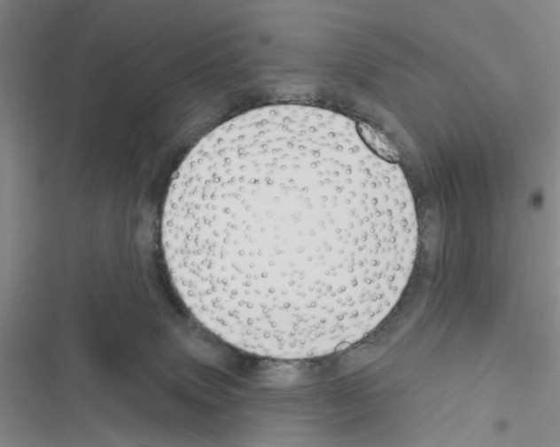 X0000116550083201001211211