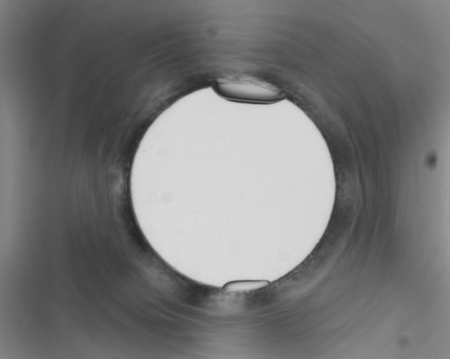 X0000116550084201001211211