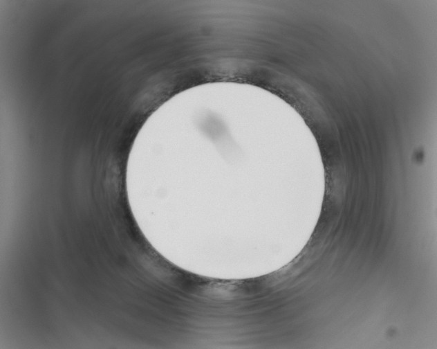 X0000116550086201001211211