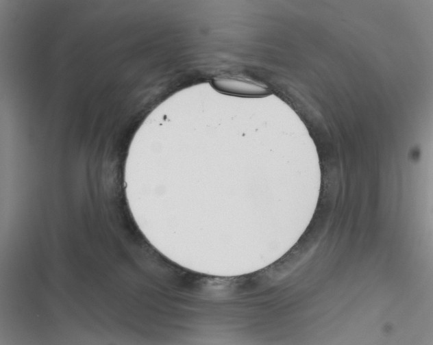 X0000116550088201001211211