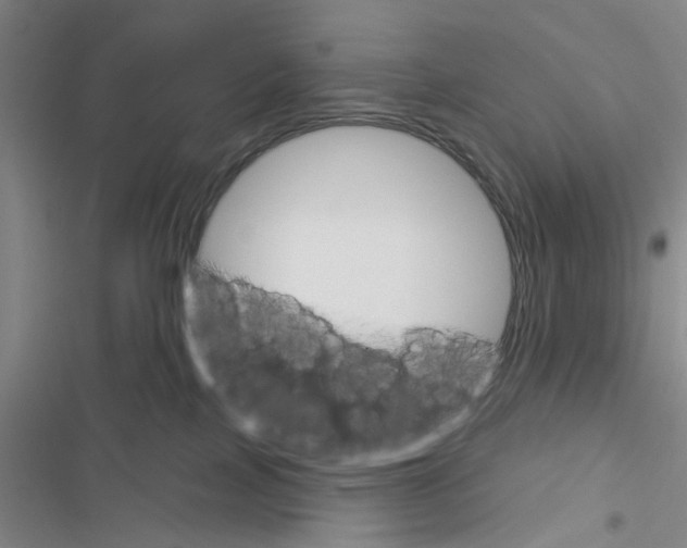 X0000116550089201001211211