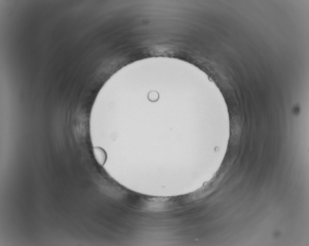 X0000116550090201001211211