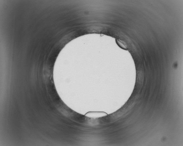 X0000116550091201001211211