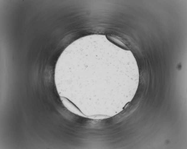 X0000116550092201001211211