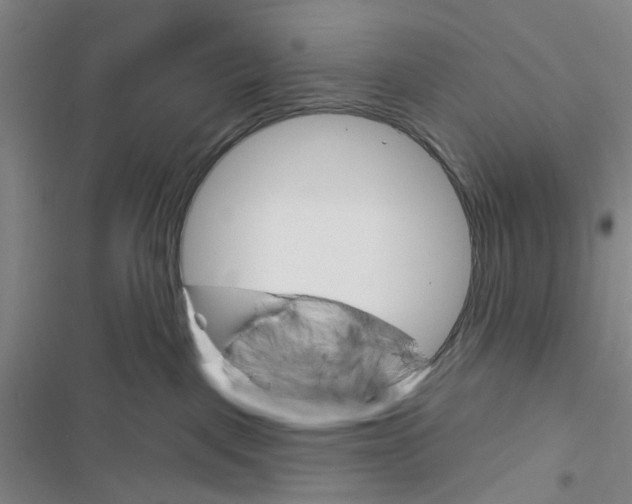 X0000116550093201001211211