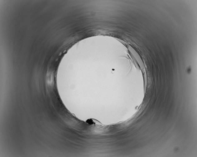 X0000116550094201001211211