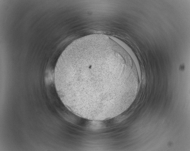 X0000116550095201001211211