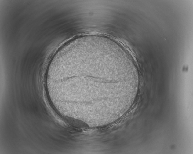 X0000116550097201001211210