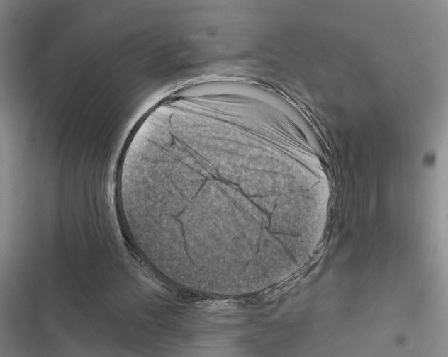 X0000116550100201001211210