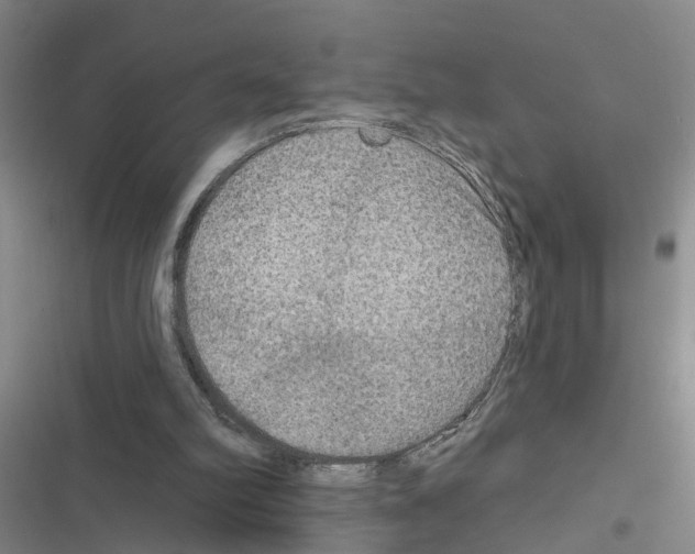 X0000116550102201001211210