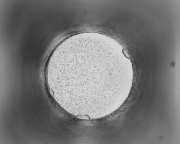 X0000116550103201001211210