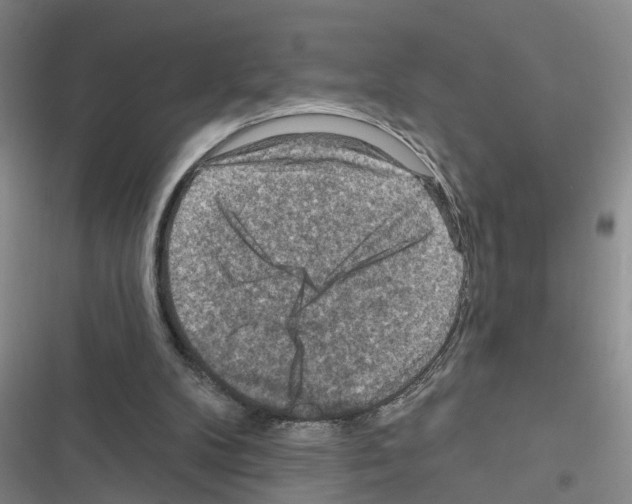 X0000116550104201001211210