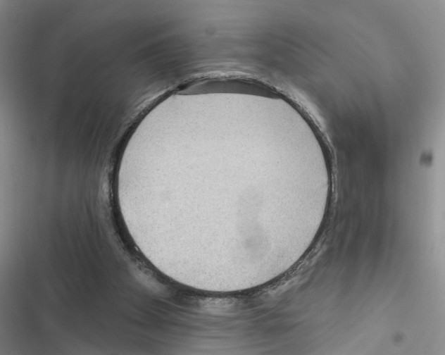 X0000116550105201001211210