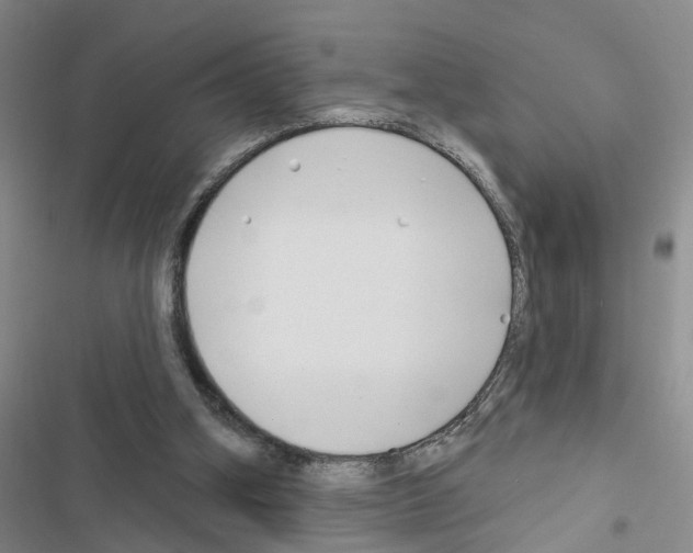 X0000116550106201001211210