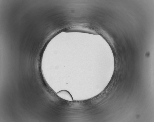 X0000116550107201001211210