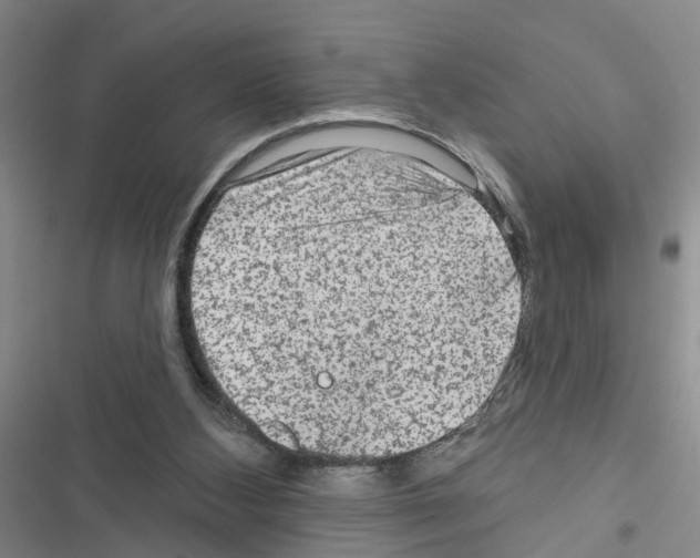 X0000116550108201001211210