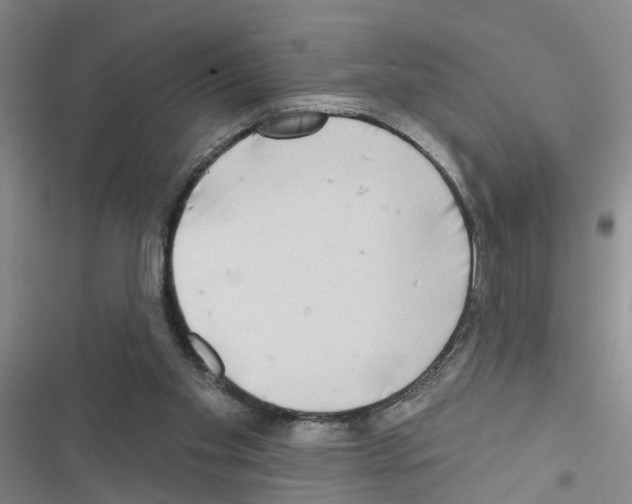 X0000116550109201001211210