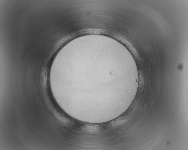 X0000116550110201001211210