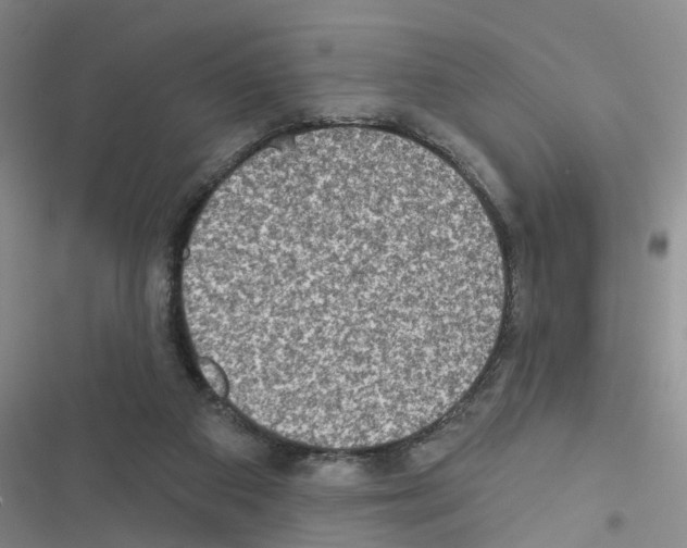 X0000116550113201001211210