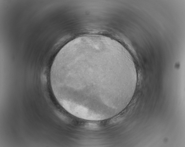 X0000116550114201001211210