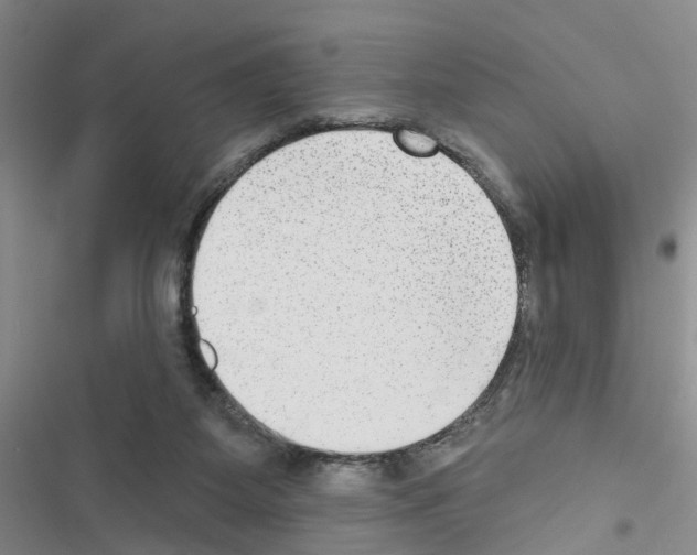 X0000116550115201001211210