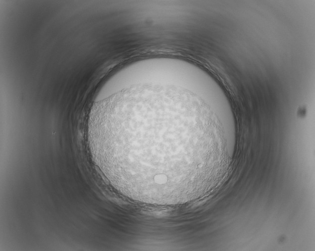 X0000116550116201001211210