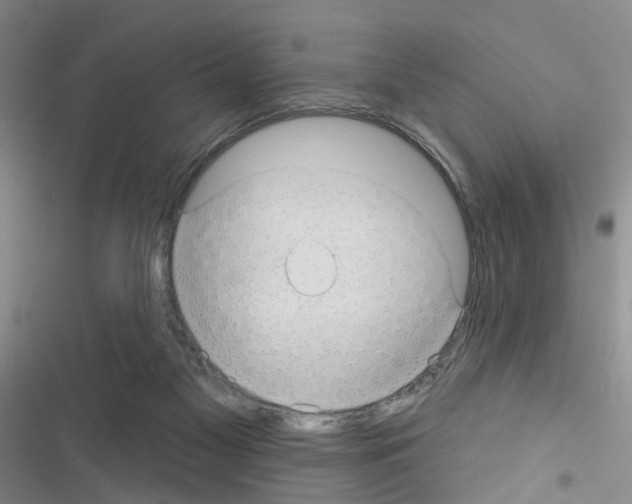 X0000116550117201001211210