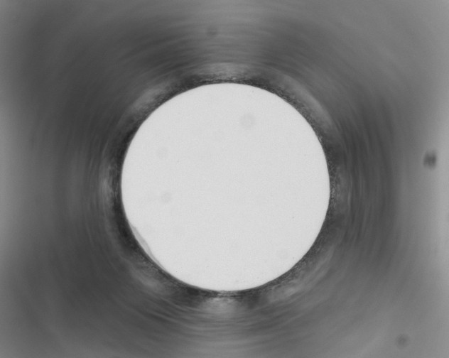 X0000116550119201001211210