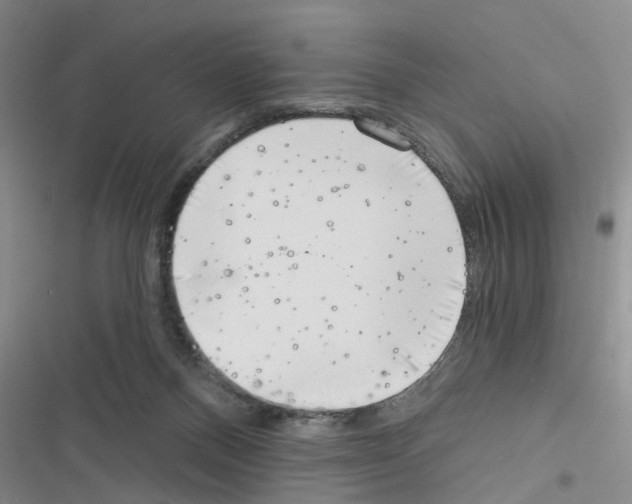 X0000116550120201001211210