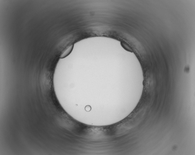 X0000116550121201001211210