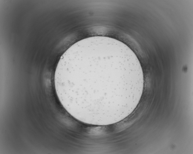 X0000116550122201001211210