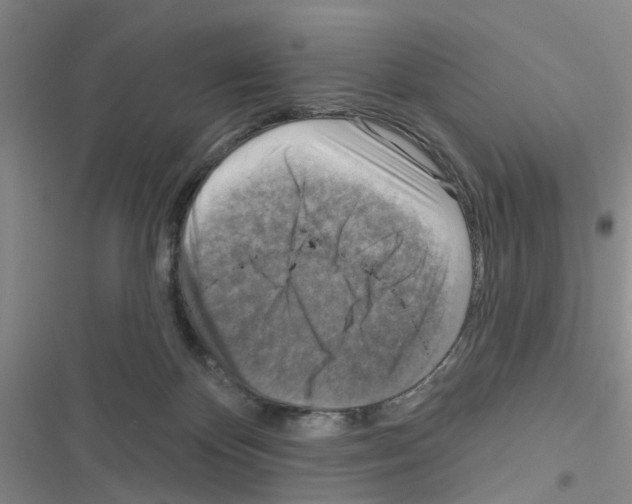 X0000116550124201001211210