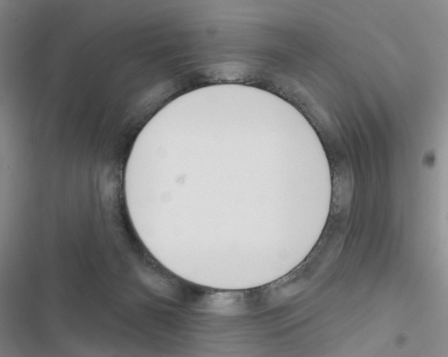 X0000116550126201001211210