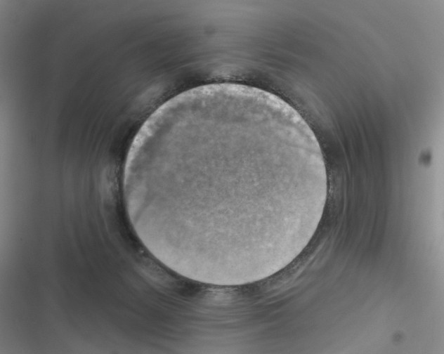 X0000116550127201001211210