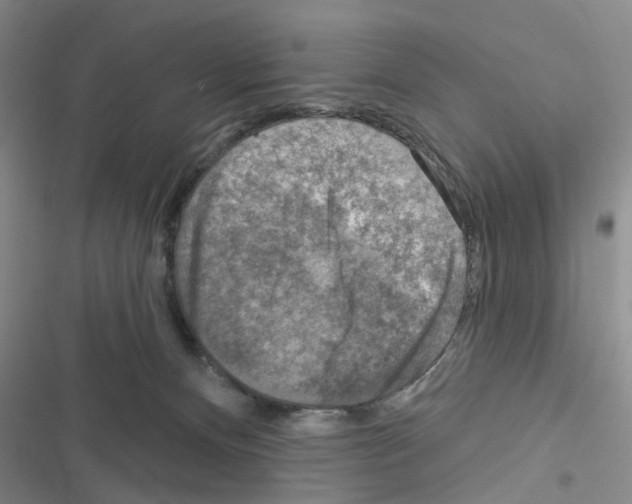 X0000116550128201001211210