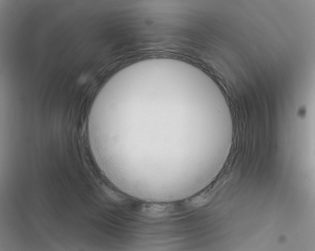 X0000116550129201001211210