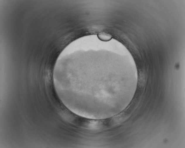 X0000116550130201001211210