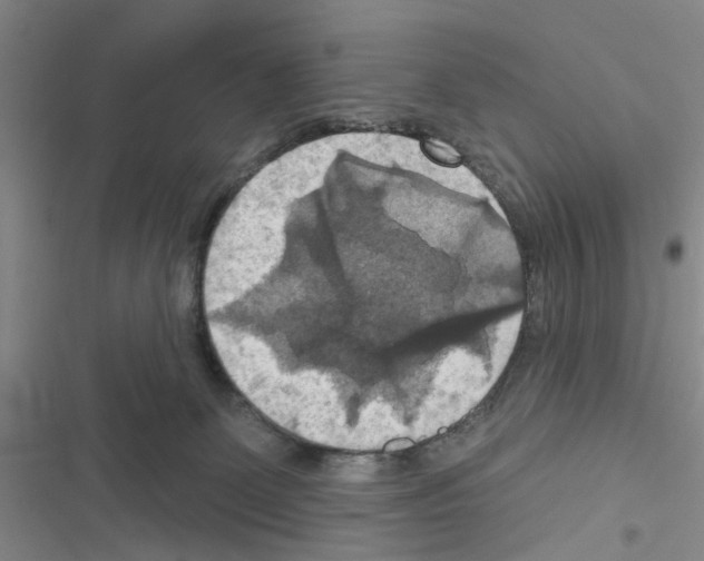 X0000116550131201001211210