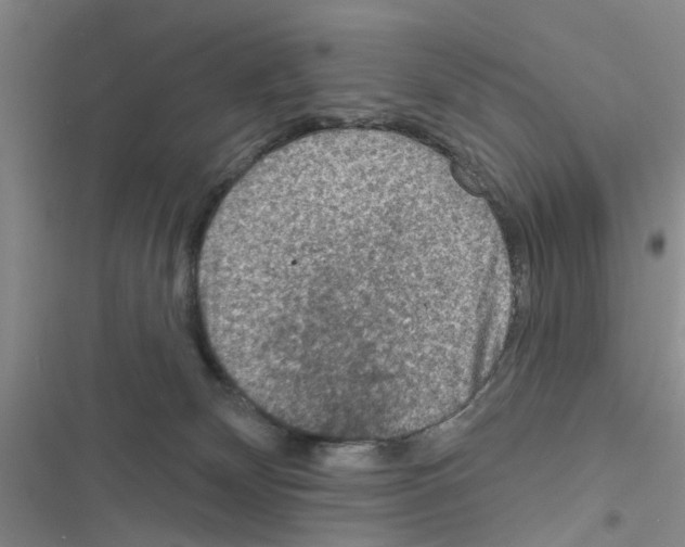 X0000116550132201001211210