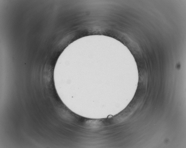 X0000116550133201001211210