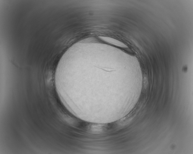 X0000116550134201001211210