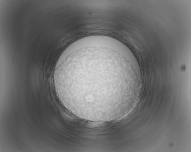 X0000116550136201001211210