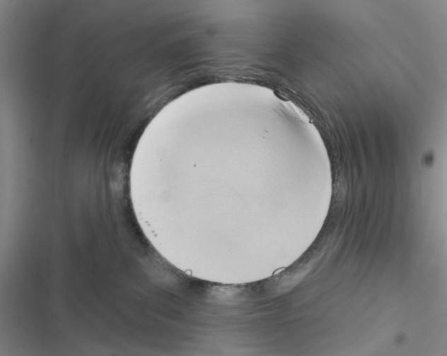 X0000116550139201001211209