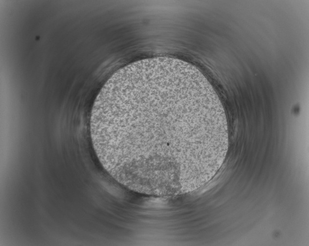 X0000116550140201001211209