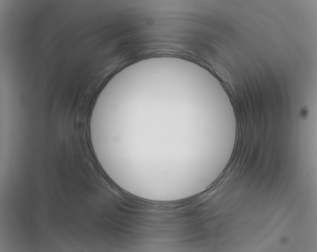 X0000116550141201001211209