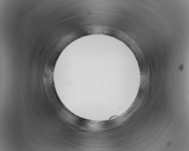 X0000116550142201001211209